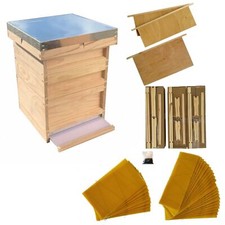 Beehive Complete Beginner