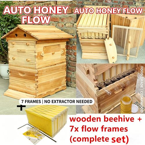 Auto flow honey - auto,