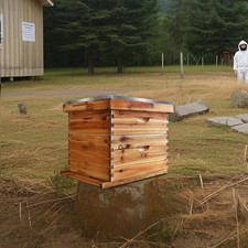 10-Frame Complete Beehive Wax