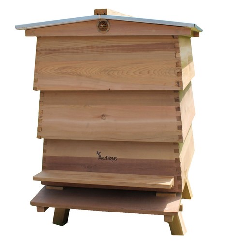 Wbc beehive cedar hive - wbc,
