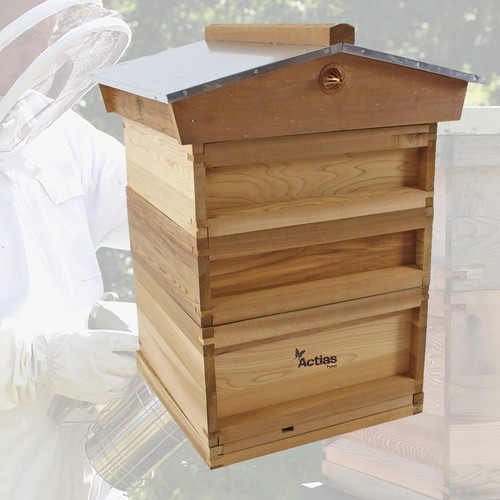 National bee hive - national,