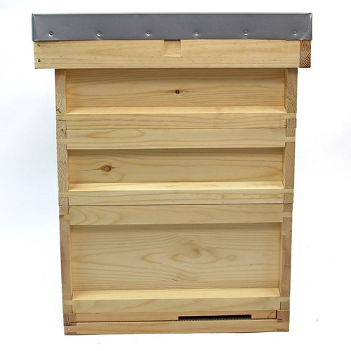 National pine bee hive starter - pine,