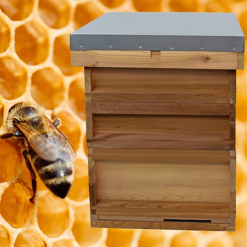 National bee hive - national,