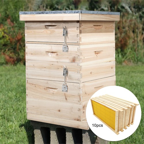Langstroth wooden beehive box - beehive,