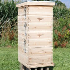 UK Langstroth Wooden Bee Hive