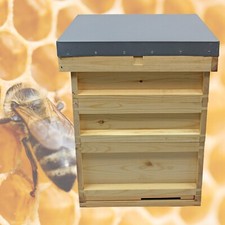 National Bee Hive Pine Bee