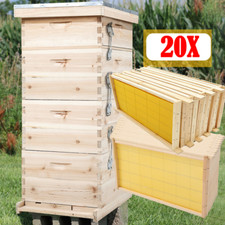 4Tier Langstroth Beehive Box