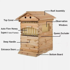 Auto Flow honey beehive set