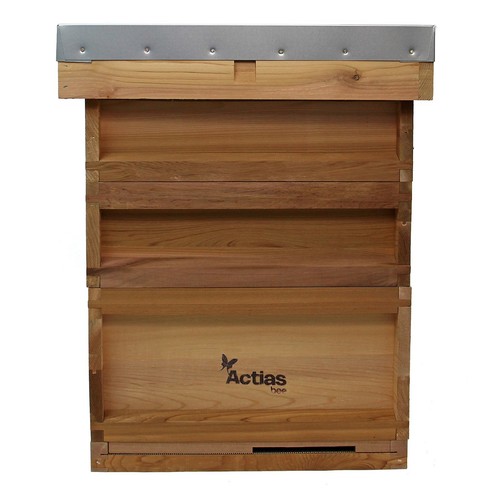 National bee hive - national, keeping