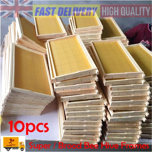 Pro 10pcs assembled national - 10pcs,