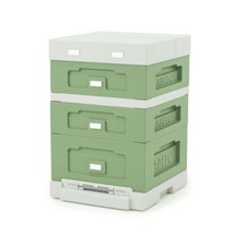 12 Frame National Poly Hive