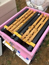 National - Langstroth