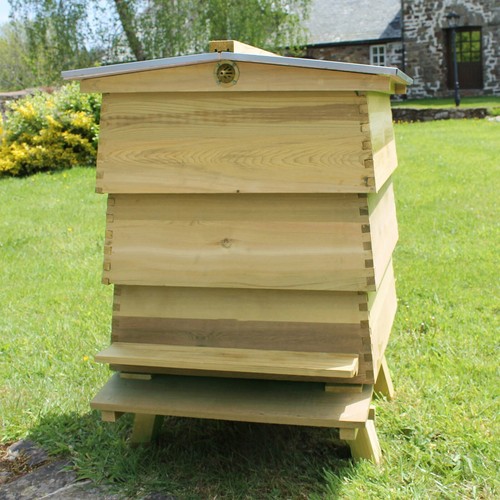 Wbc beehive new zealand - new,