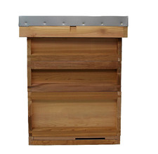 National cedar Beehive. 2