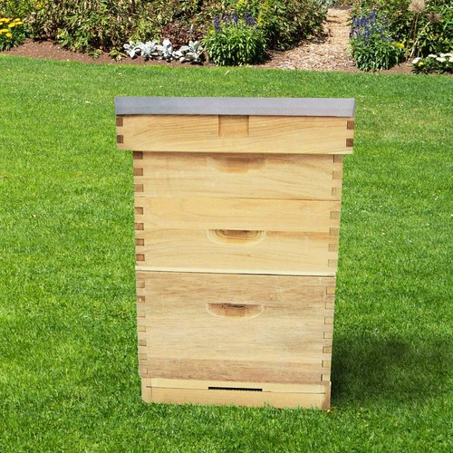 Langstroth beehive new - langstroth,